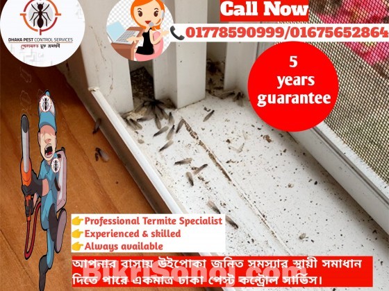 Pest Control Service Dhaka Bangladesh